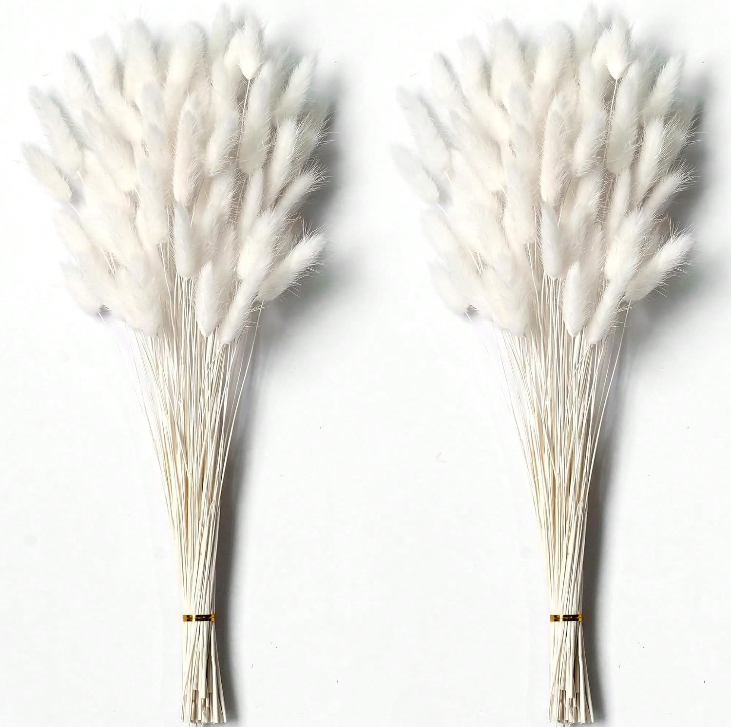 Dried Flower Bulk - 120 pezzi di erba di pampa