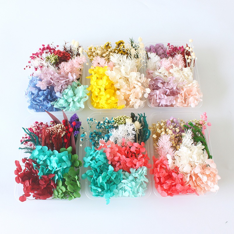 Flower Preservation Resin - Kit Fai-da-Te per Fiori Conservati, Regalo
