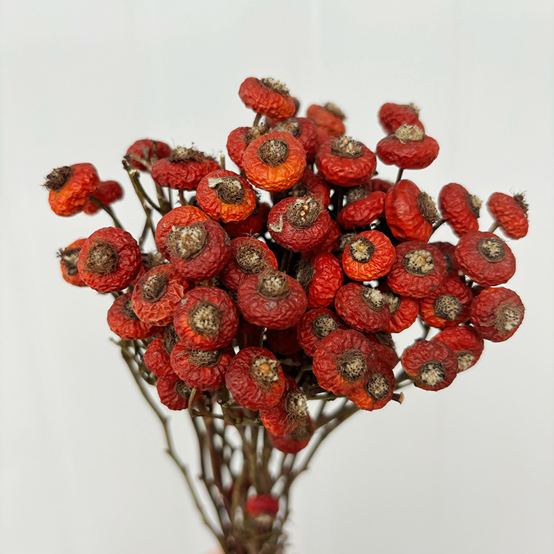 10 Pezzi/Buquet di Fiori di Ro - Dried Flower Bulk recensione e prezzo