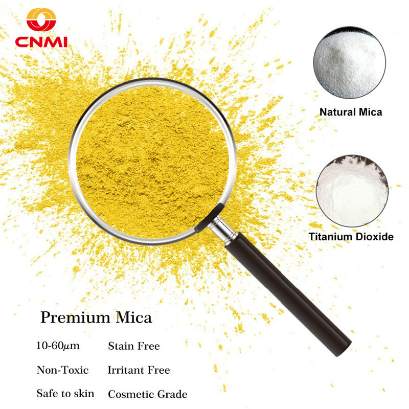 100g Royal Gold Mica Polvere P - Resin Pigment Set recensione e prezzo