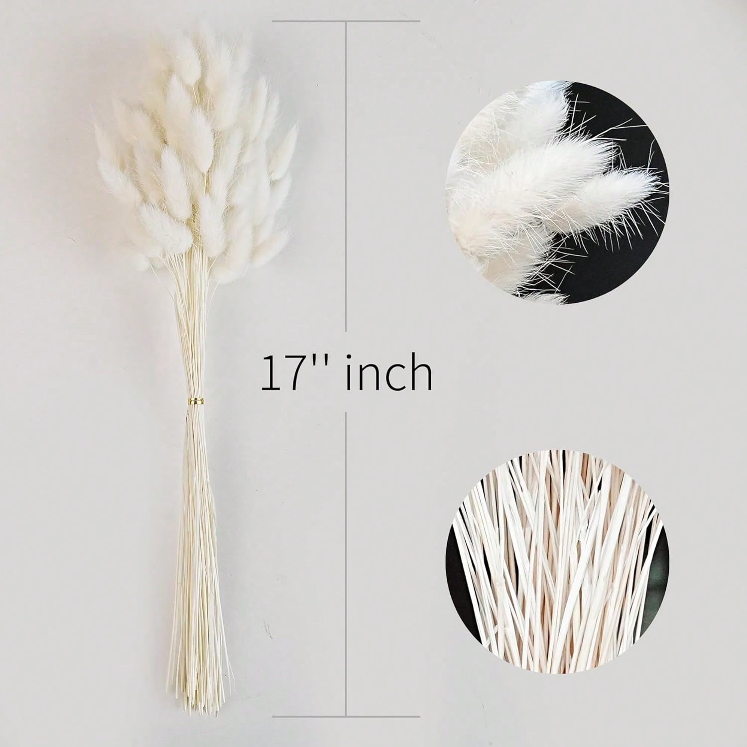 120 pezzi di erba di pampa ess - Dried Flower Bulk recensione e prezzo