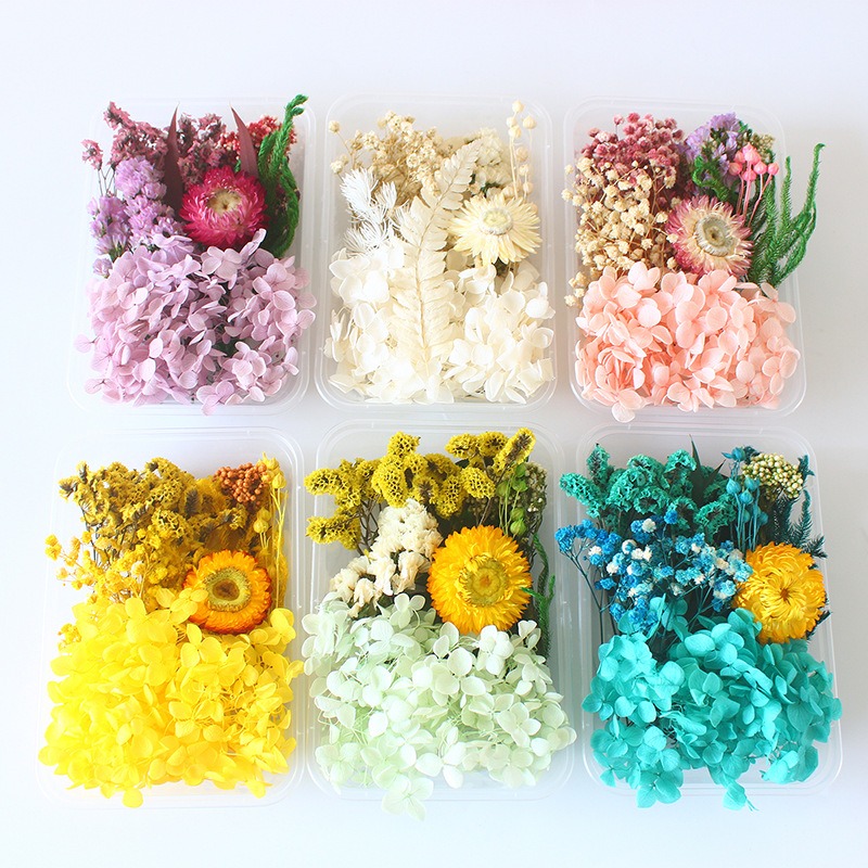 Kit Fai-da-Te per Fiori Conser - Flower Preservation Resin recensione e prezzo
