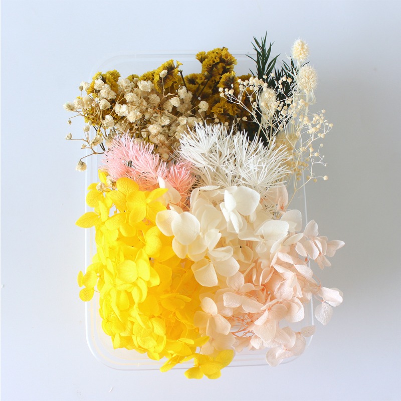 Kit Fai-da-Te per Fiori Conser - Flower Preservation Resin recensione e prezzo