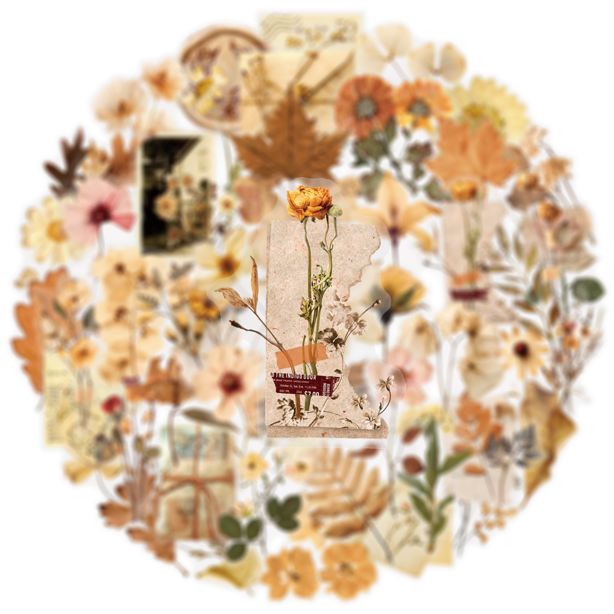 Confezione da 50 adesivi trasp - Dried Flower Bulk recensione e prezzo